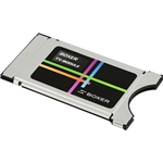 MPEG4-godkänd CA Modul Viaccess