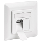 CAT 6 wall plate flush